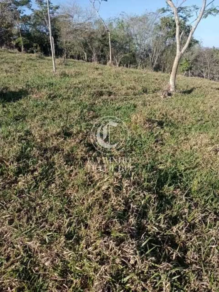 Terreno, 11 hectares - Foto 16