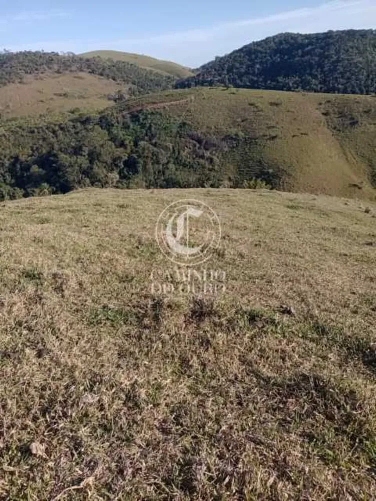 Terreno, 11 hectares - Foto 6
