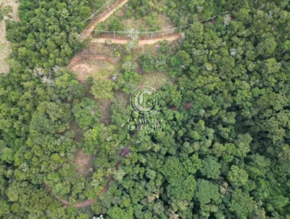 Terreno, 2 hectares - Foto 9