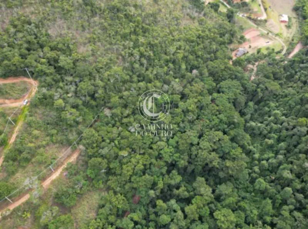 Terreno, 2 hectares - Foto 7