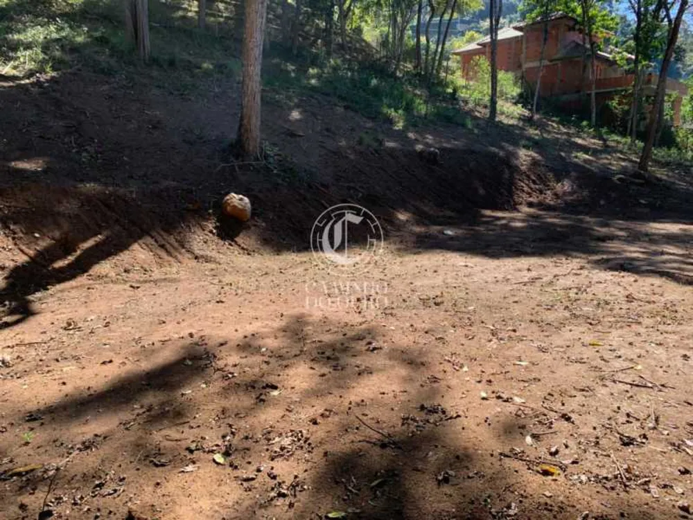 Terreno, 2300 m² - Foto 4