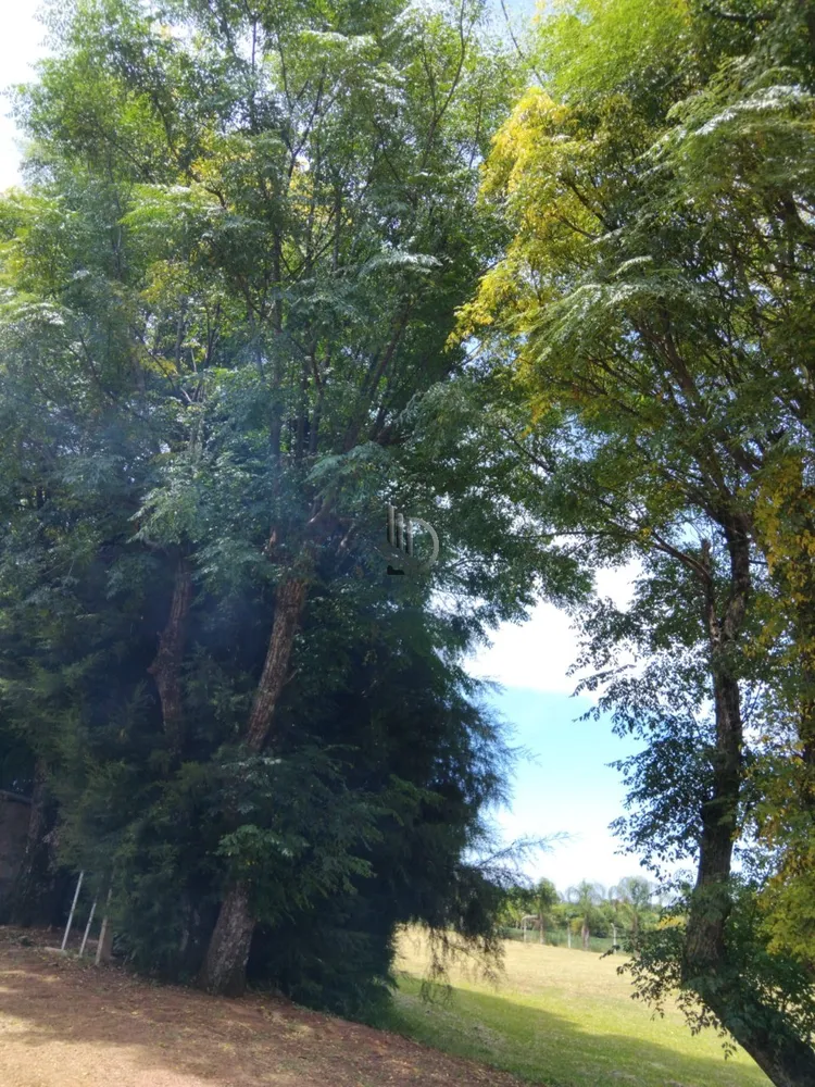 Terreno, 4000 m² - Foto 7