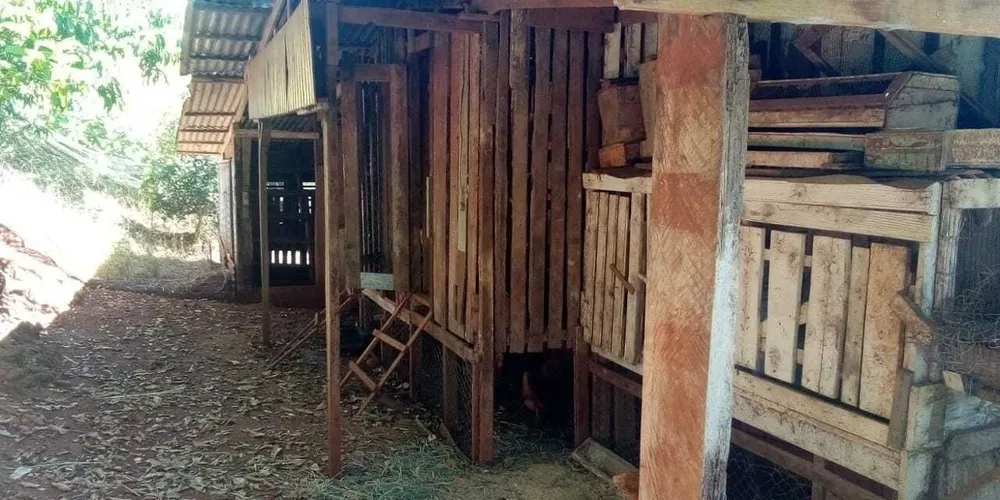 Chácara, 2 quartos - Foto 8