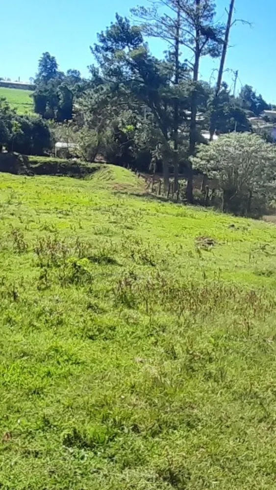 Chácara, 3 quartos - Foto 16