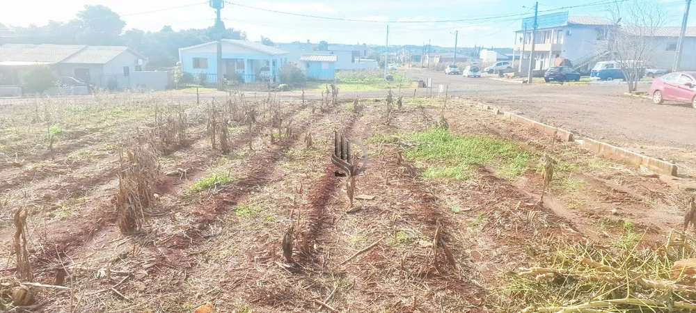 Terreno, 301 m² - Foto 2