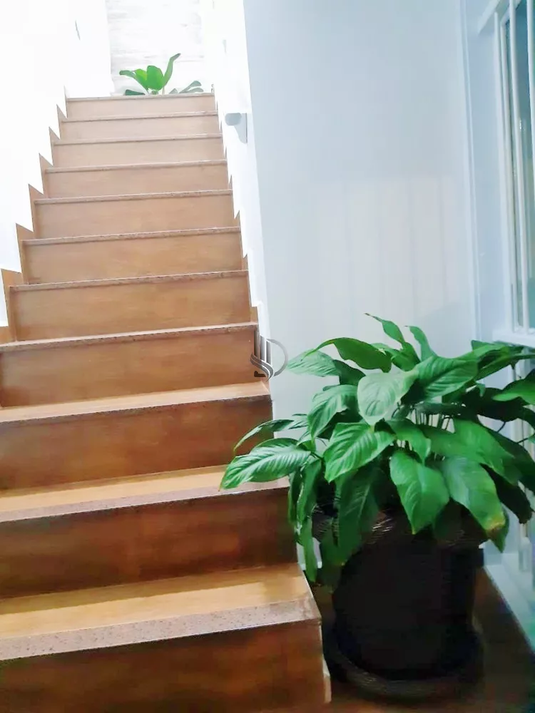 Cobertura, 3 quartos, 900 m² - Foto 1