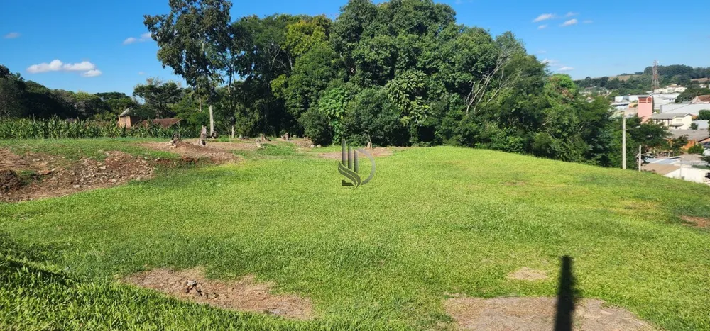 Terreno, 272 m² - Foto 2