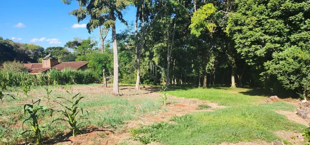 Terreno, 272 m² - Foto 4