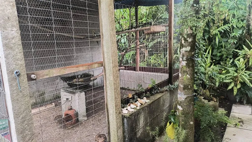 Casa, 3 quartos - Foto 12