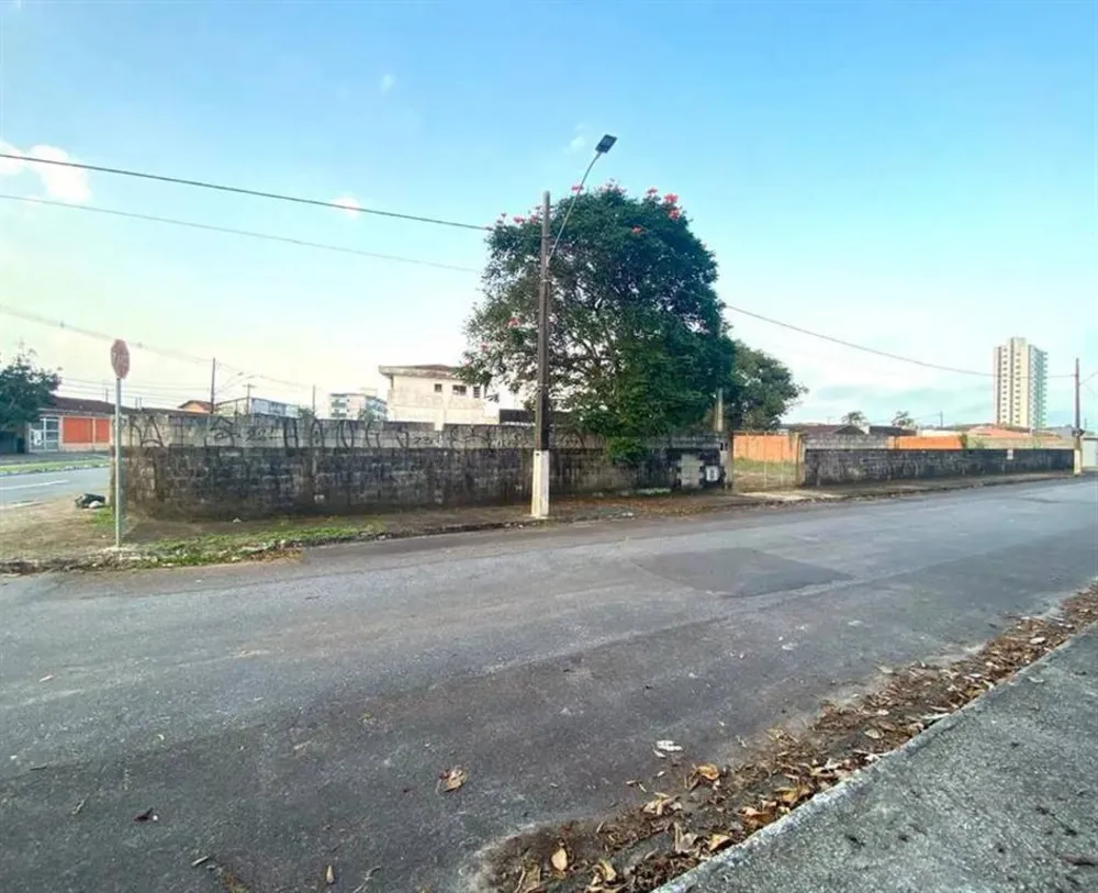 Terreno - Foto 6