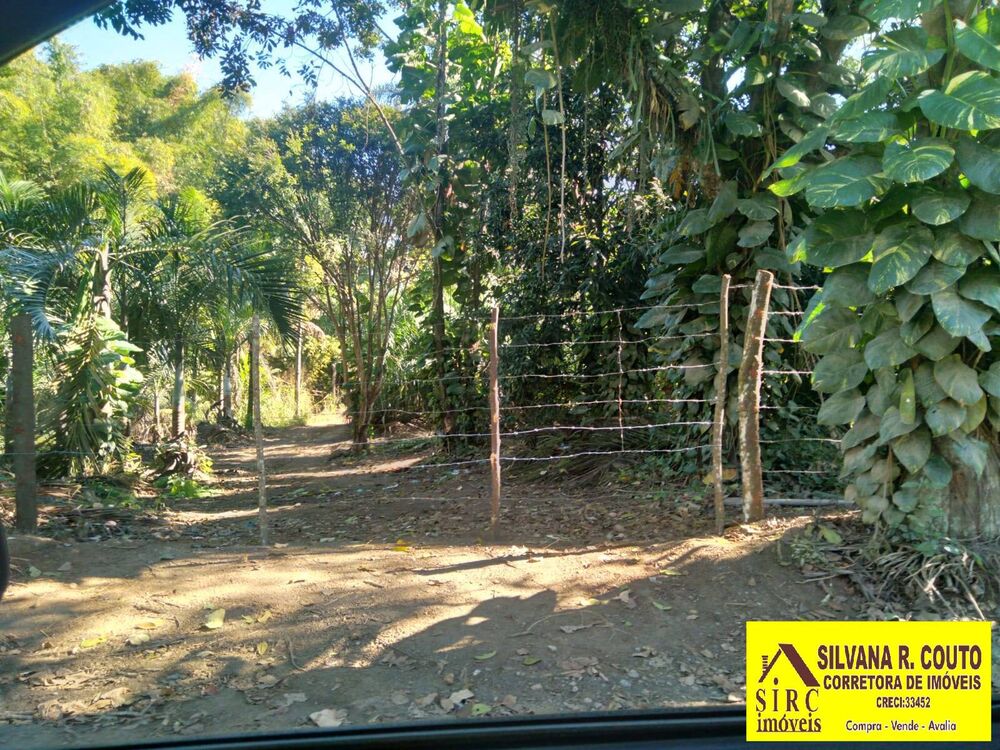 Terreno, 8000 m² - Foto 7