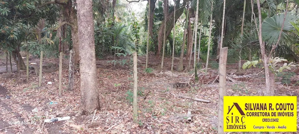 Terreno, 8000 m² - Foto 4