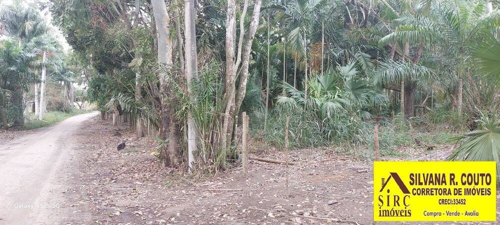 Terreno, 8000 m² - Foto 2