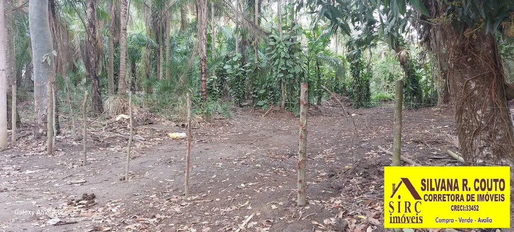 Terreno, 8000 m² - Foto 6