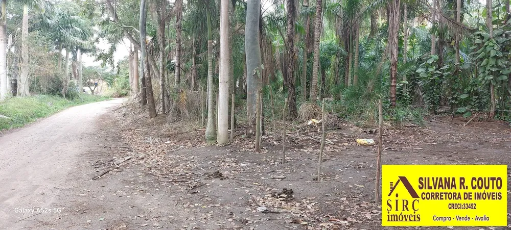 Terreno, 8000 m² - Foto 5