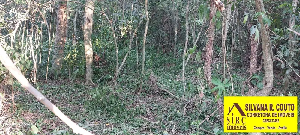 Terreno, 4500 m² - Foto 18
