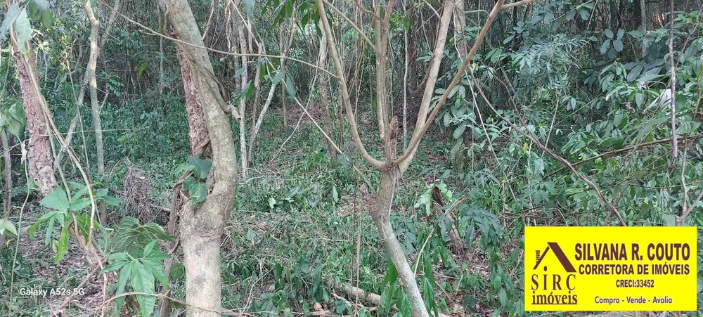 Terreno, 4500 m² - Foto 15