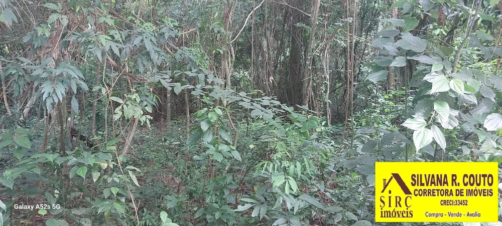 Terreno, 4500 m² - Foto 12