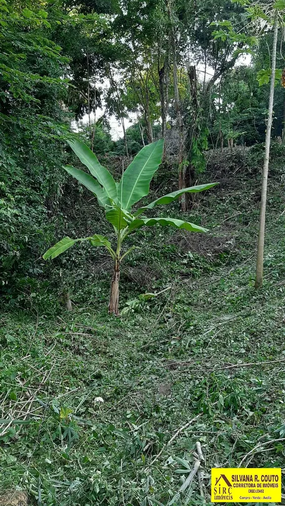 Terreno, 482 m² - Foto 10