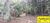 Terreno, 25 hectares - Foto 3