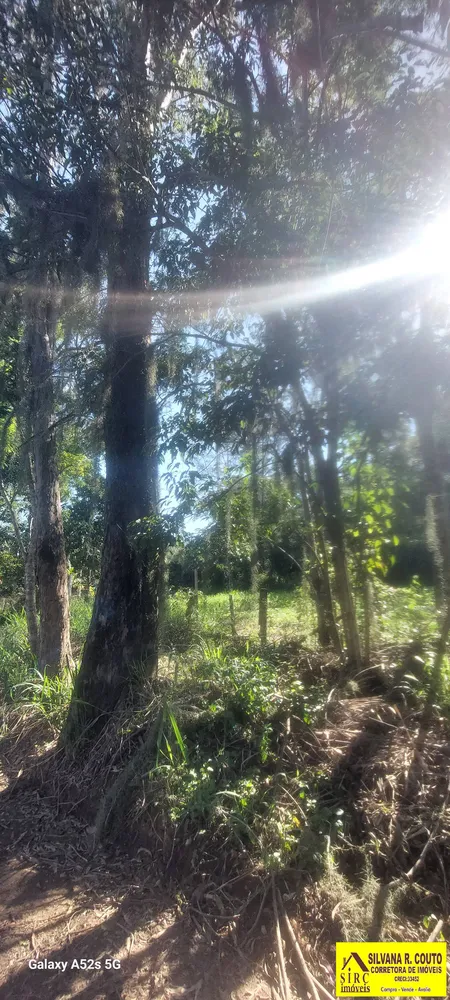 Terreno, 1600 m² - Foto 6