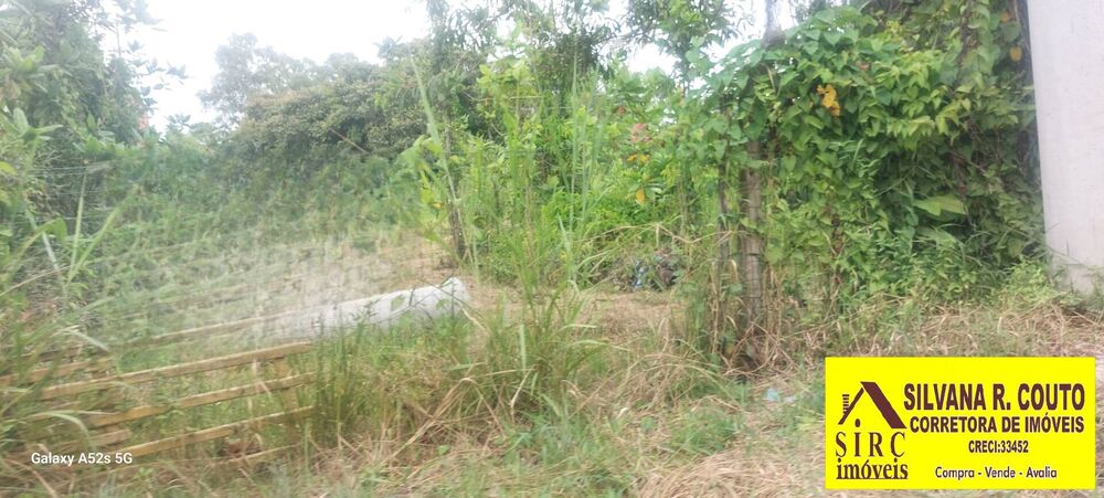 Terreno, 3200 m² - Foto 7