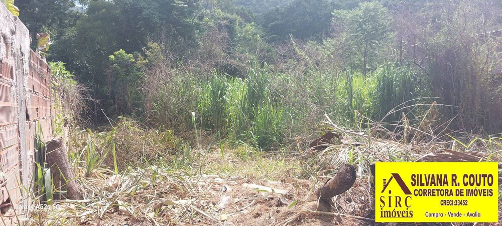 Terreno, 480 m² - Foto 3