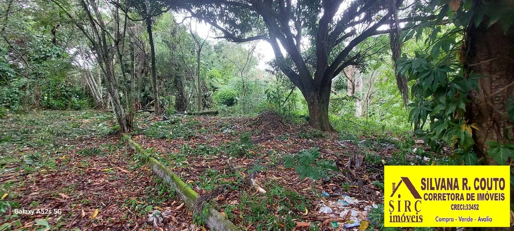 Terreno, 1270 m² - Foto 6