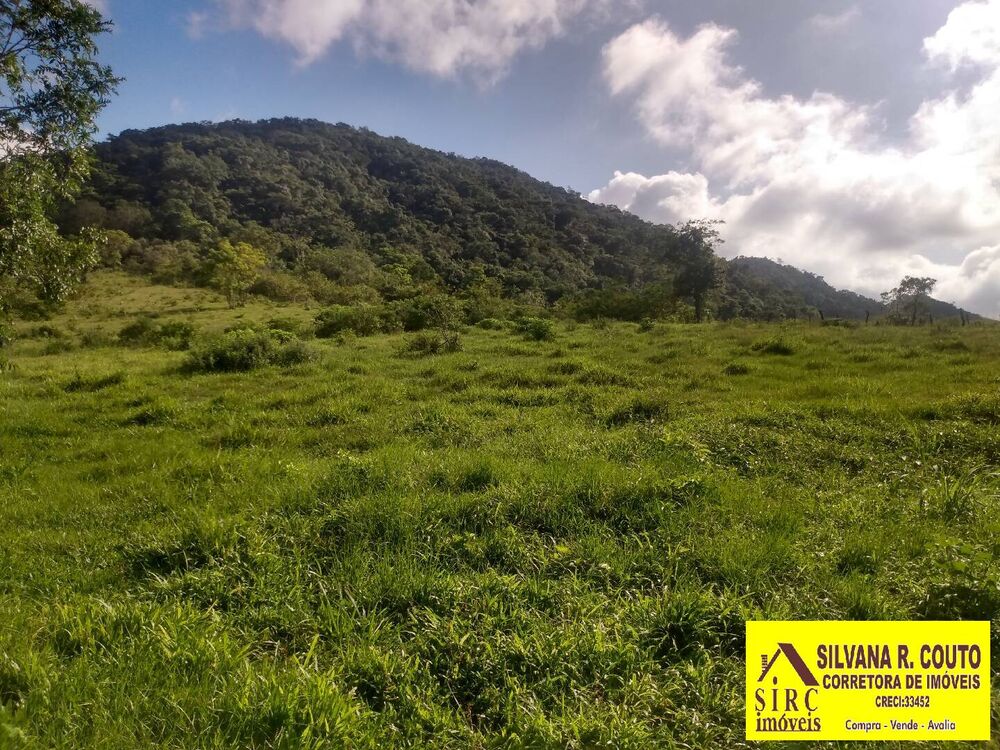 Terreno, 3 hectares - Foto 2