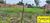 Terreno, 1000 m² - Foto 1