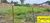 Terreno, 1000 m² - Foto 2