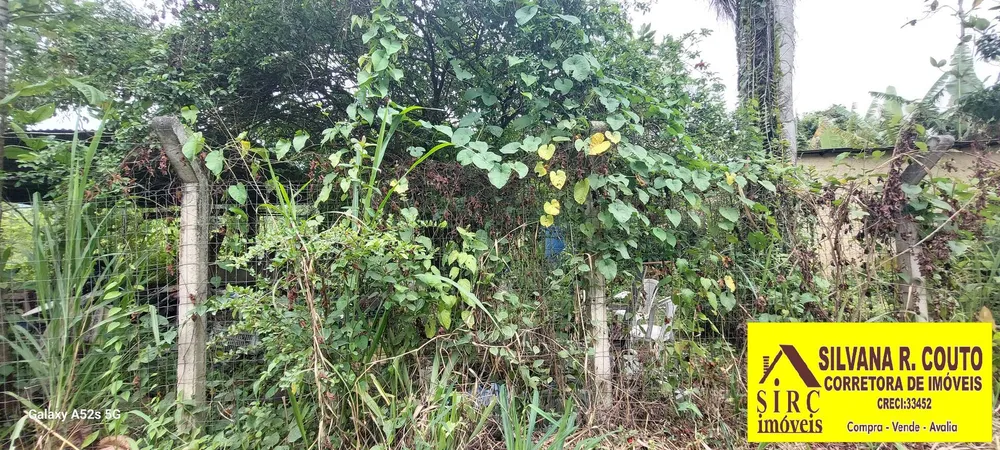 Terreno, 3200 m² - Foto 6
