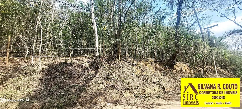 Terreno, 1 hectares - Foto 4