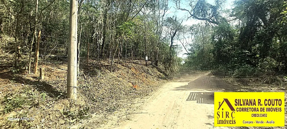 Terreno, 1 hectares - Foto 7