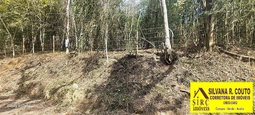 Terreno, 1 hectares - Foto 6