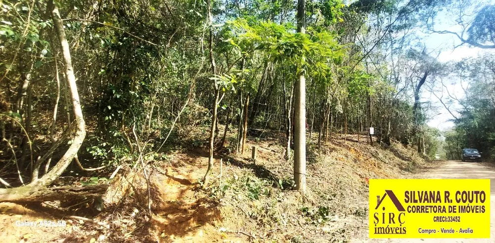 Terreno, 1 hectares - Foto 3
