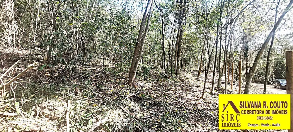 Terreno, 1 hectares - Foto 16