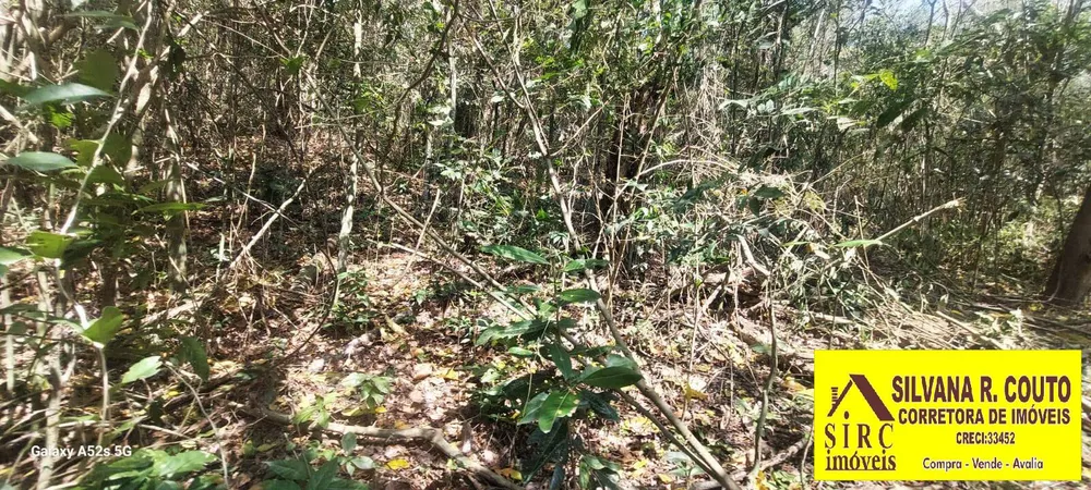 Terreno, 1 hectares - Foto 13