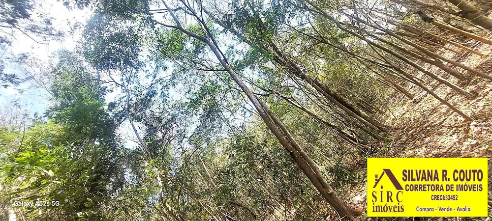 Terreno, 1 hectares - Foto 11