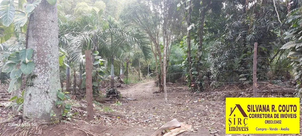 Terreno, 25 hectares - Foto 13