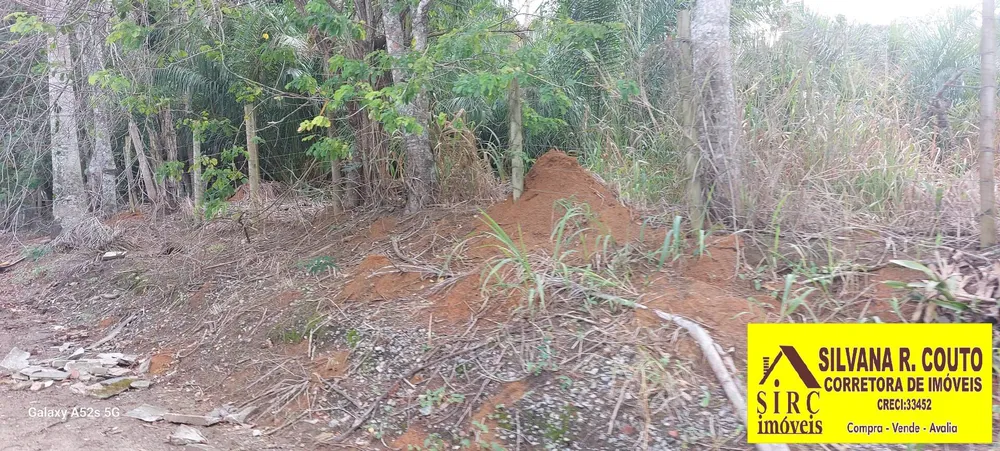 Terreno, 25 hectares - Foto 11