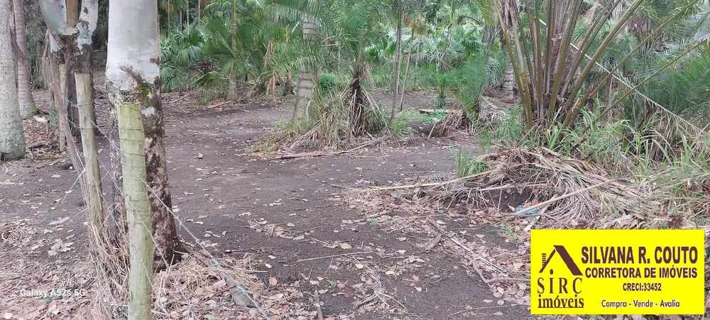 Terreno, 25 hectares - Foto 7