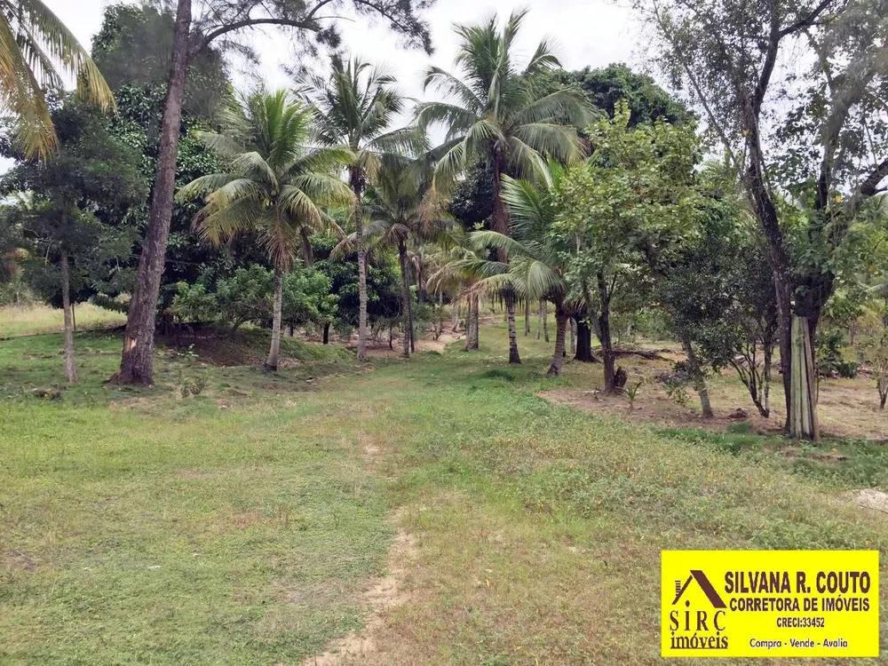 Sítio, 4 quartos, 5 hectares - Foto 48
