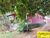 Casa, 2 quartos, 1000 m² - Foto 1
