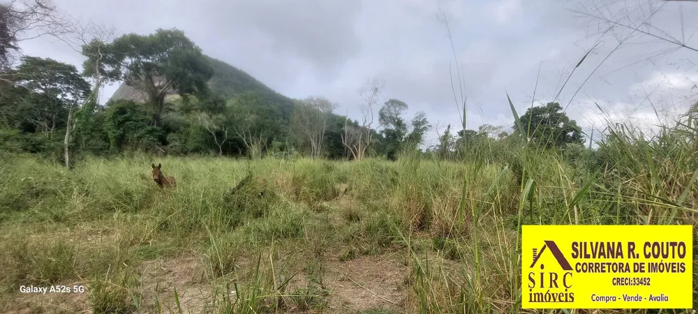 Terreno, 3000 m² - Foto 4