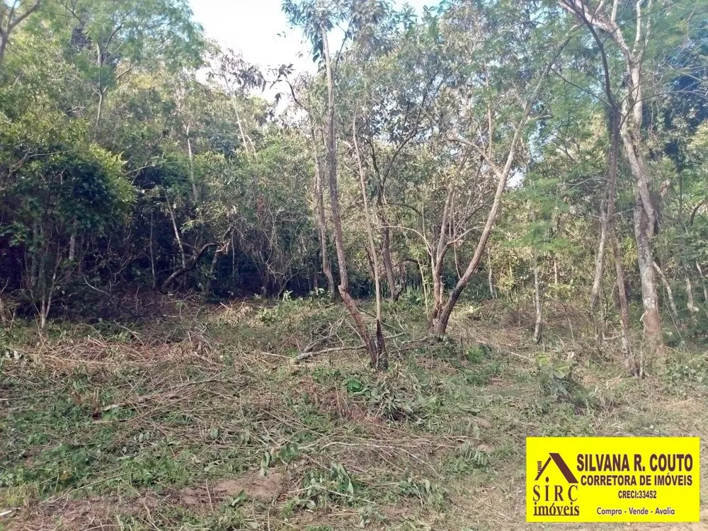 Terreno, 5250 m² - Foto 3