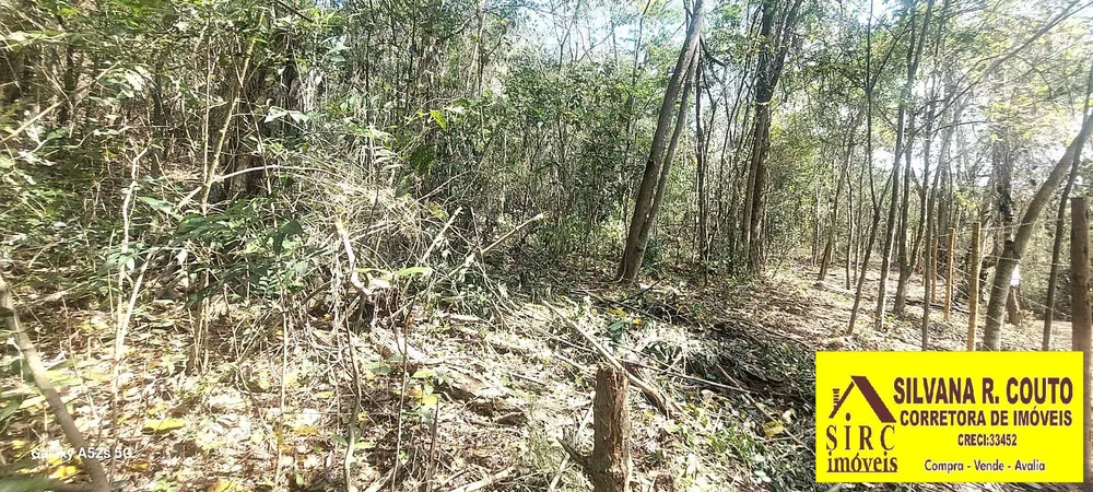 Terreno, 1 hectares - Foto 8