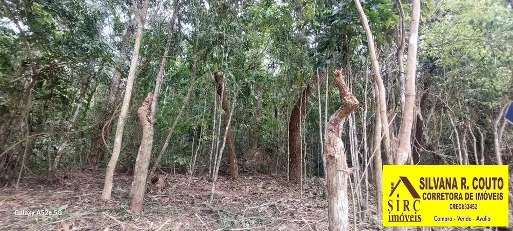 Terreno, 2000 m² - Foto 5