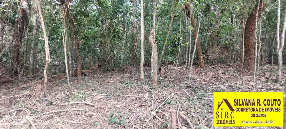 Terreno, 2000 m² - Foto 14