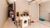 Casa, 3 quartos, 167 m² - Foto 2